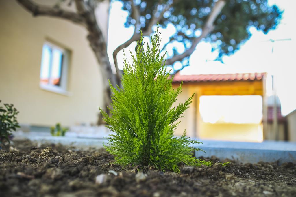 Apartments Sesar Banjol Zewnętrze zdjęcie